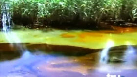 Conspiracy Theory with Jesse Ventura S02E07 - The Gulf Oil Spill (aka Louisiana Oil Spill) by Zero's Sneed & Feed